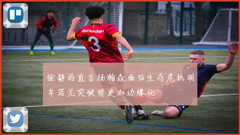 徐静雨直言杨瀚森面临生存危机明年若无突破将更加边缘化
